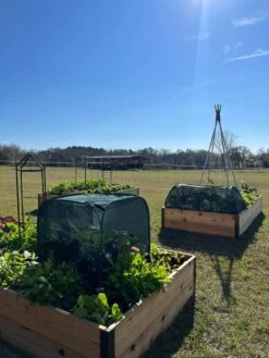 Pest Control Pop-Ups 13 Pest Control Pop-Ups -Garden Tools Shop 8611989 05 tif