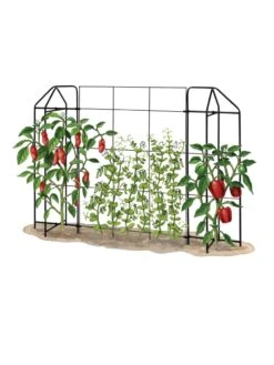Zenith Trellis -Garden Tools Shop 8612035 art tif