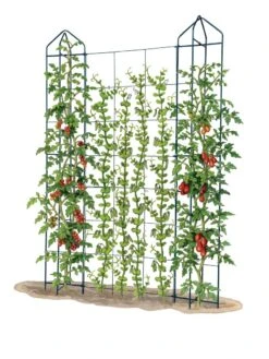 Zenith Trellis -Garden Tools Shop 8612036 art tif
