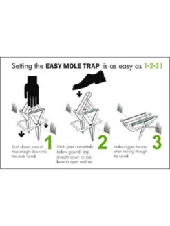 Easy Mole Trap 6 Easy Mole Trap -Garden Tools Shop 8612557 04v 1