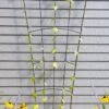 Flock Of Friends Wall Trellis