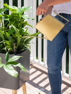 Precision Brass Watering Can 7 Precision Brass Watering Can -Garden Tools Shop 8612691 0011