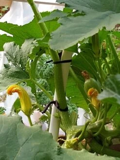 Farmyarn® Multipurpose Garden Tie, 2 Pack -Garden Tools Shop 8612948 01v