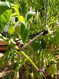 Farmyarn® Multipurpose Garden Tie, 2 Pack -Garden Tools Shop 8612948 02v