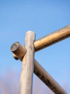 Bamboo Tomato Cages, Set Of 3 17 Bamboo Tomato Cages, Set Of 3 -Garden Tools Shop 8613143 0385