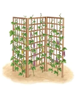 Bamboo Zig-Zag Trellis 24" X 36" -Garden Tools Shop 8613151 art flat
