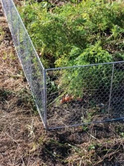 Chicken Wire Critter Fence, 16" High 15 Chicken Wire Critter Fence, 16" High -Garden Tools Shop 8613249 0358