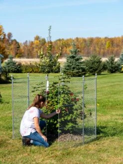 Tall Chicken Wire Critter Fence With Gate 16 Tall Chicken Wire Critter Fence With Gate -Garden Tools Shop 8613260 0044