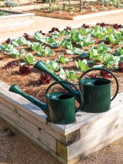 Long Reach Watering Can, Large 10 Long Reach Watering Can, Large -Garden Tools Shop 8613346 0148