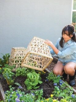 Bamboo Cloche, Set Of 2 -Garden Tools Shop 8613351 6862