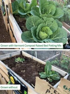 Garden Tools Shop -Garden Tools Shop 8613368 comparison 01TEST captions