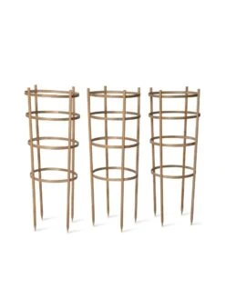 Bamboo Tomato Cages, Set Of 3 15 Bamboo Tomato Cages, Set Of 3 -Garden Tools Shop 8613426 4679 bamboo tomato cages 3