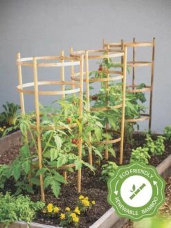 Garden Tools Shop 11 Bamboo Tomato Cages, Set Of 3