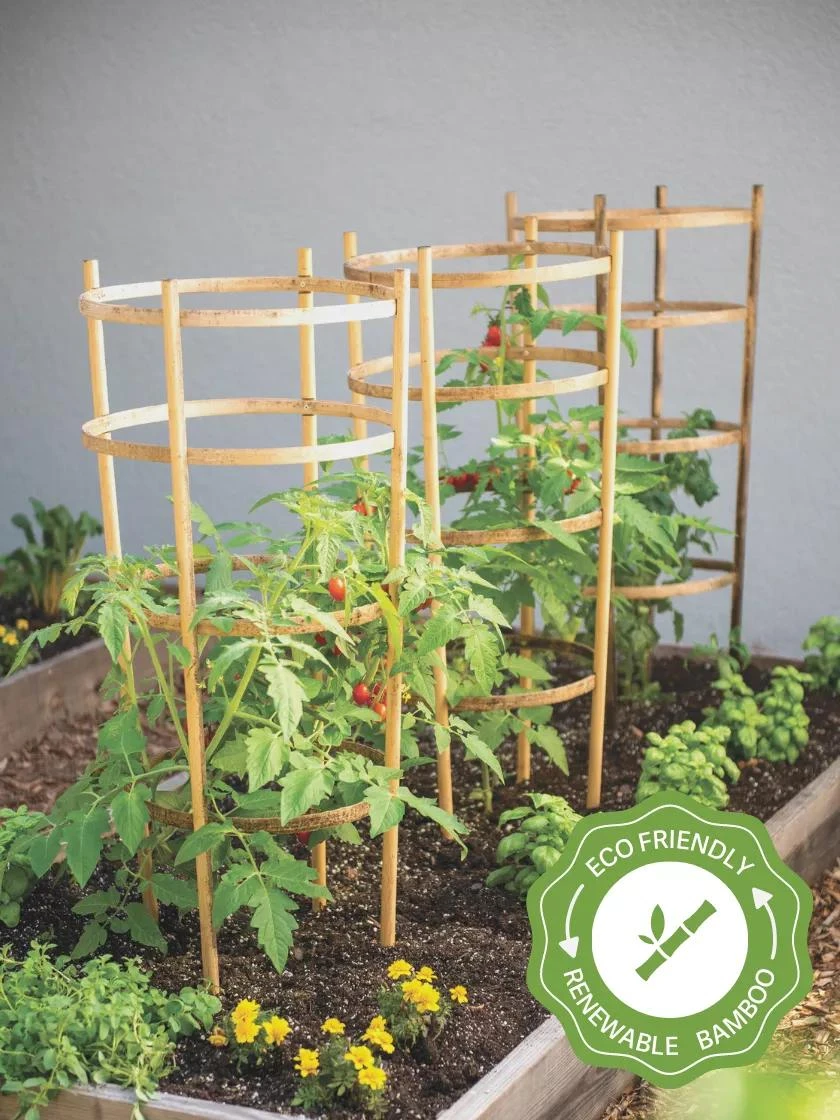 Bamboo Tomato Cages, Set Of 3 1 Bamboo Tomato Cages, Set Of 3