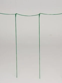 Curved Linking Stakes -Garden Tools Shop GS35241 04S tif