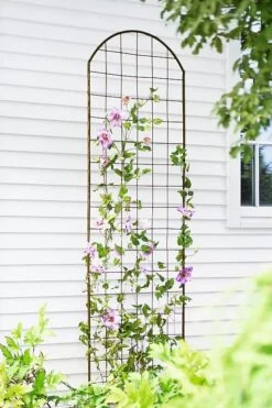 New Release 15 Jardin Flower Trellis