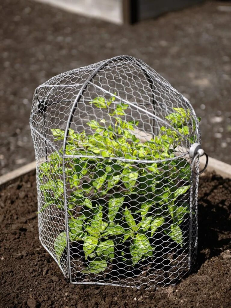 Garden Tools Shop 33 Garden Tools Shop -Garden Tools Shop 8592117 1465 tif 768x1024 1